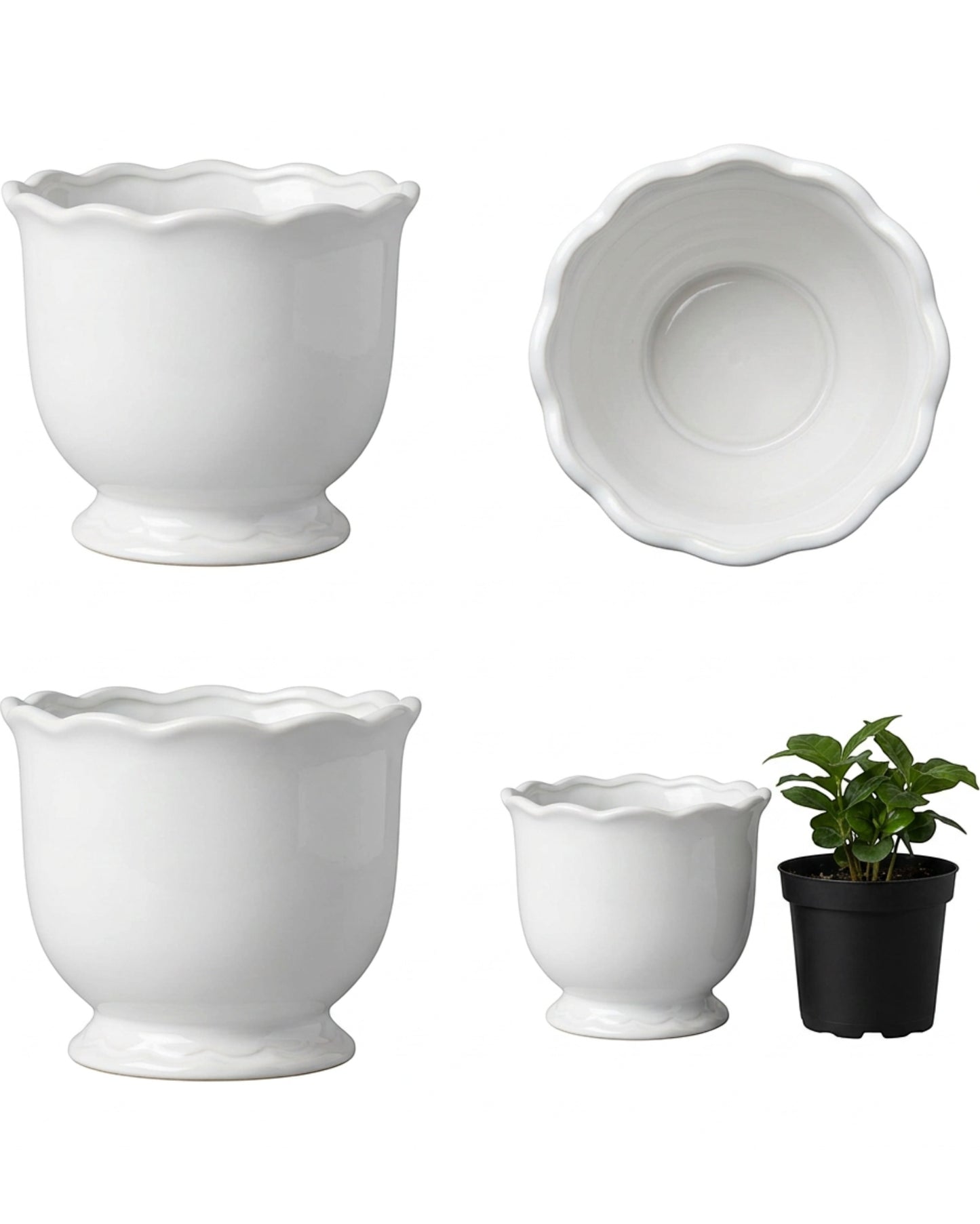 Kext Scallop Edge Ceramic Cachepot Cloud 6.5 in