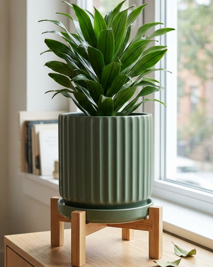 Kext Tall Fluted Ceramic Planter Juniper 8 in